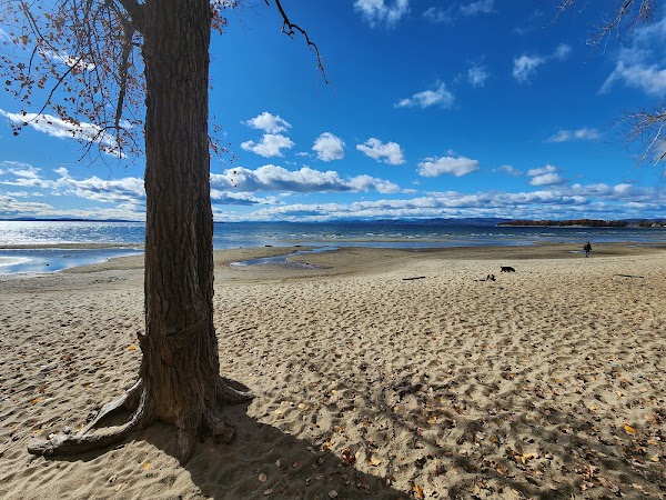 Leddy Beach thumbnail