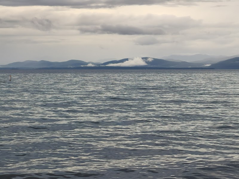 Leddy Beach - Image 2