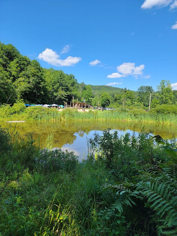 Thomas Field - Image 2