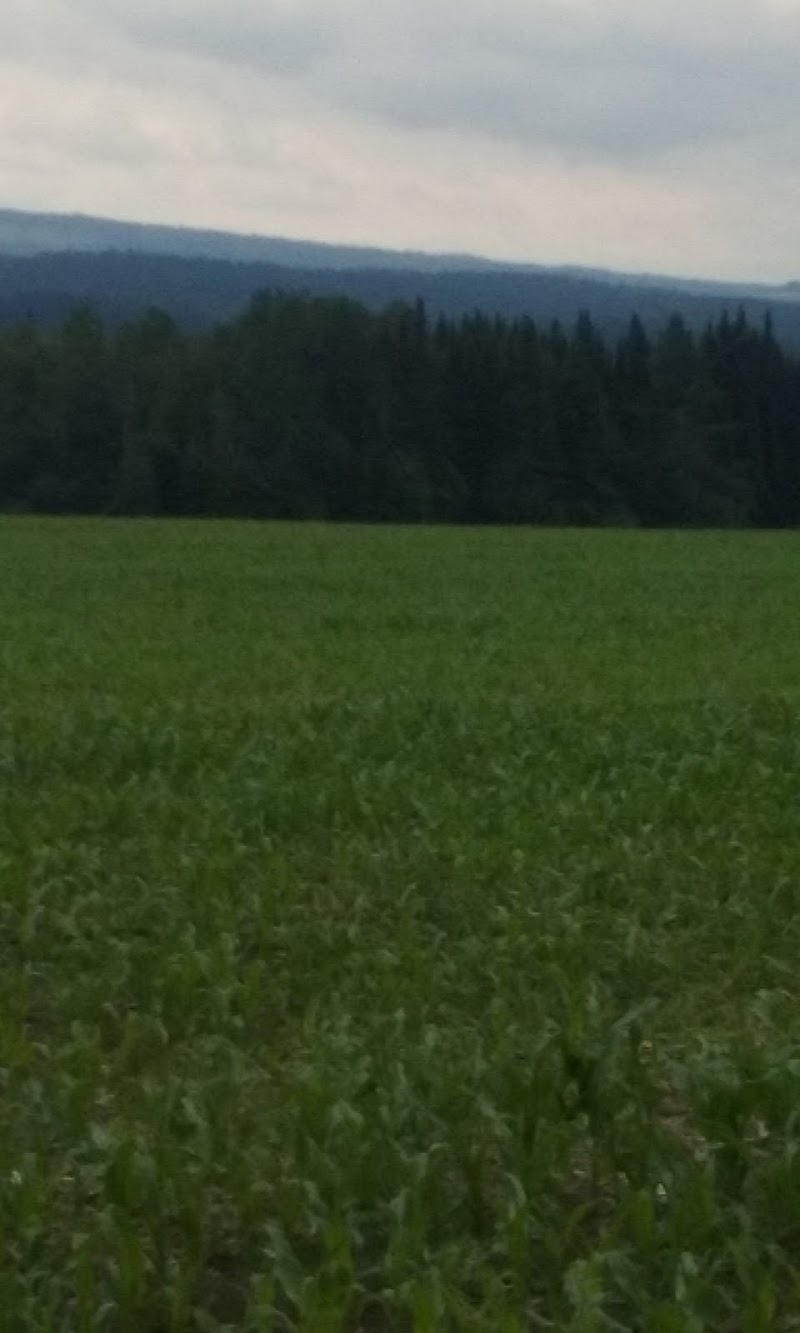 East Montpelier Recreation Fields - Image 3