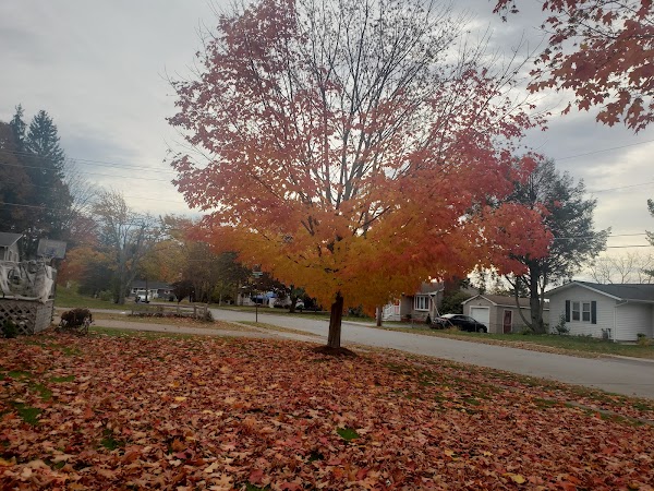 Cascade Park thumbnail