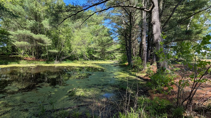 Bombardier Park East - Image 3