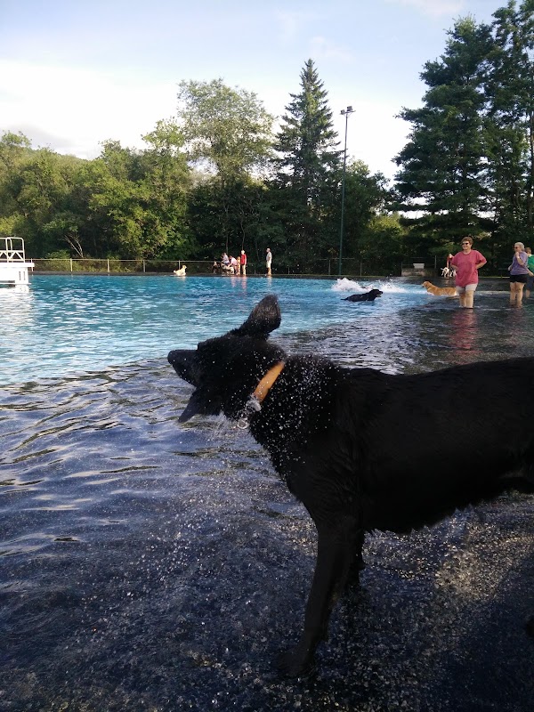 Montpelier Recreation Field - Image 2