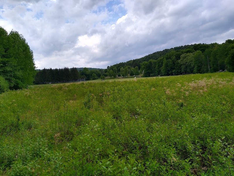 Huntley Meadow Athletic Fields - Image 2