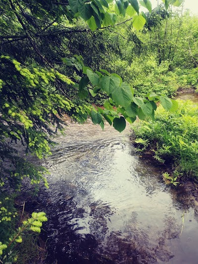 Pittsford Recreation Area thumbnail