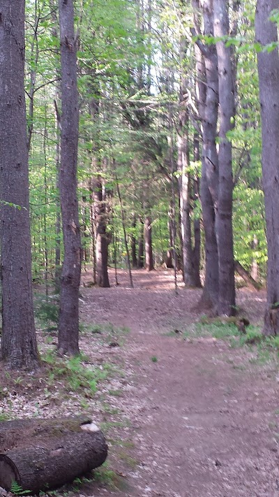 Pittsford Recreation Area - Image 2