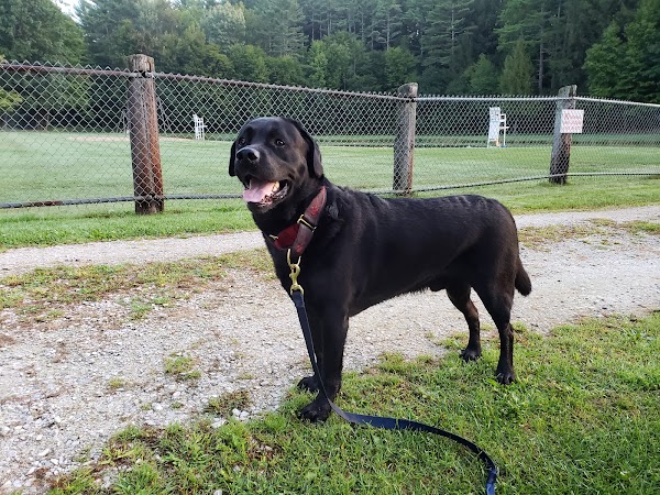 Pittsford Recreation Area - Image 3