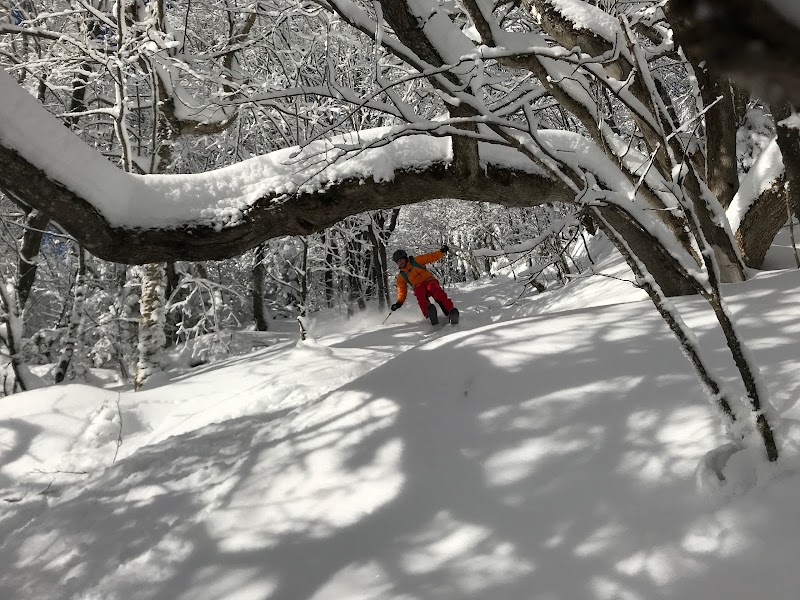 Ralph's Rec Center - Image 2