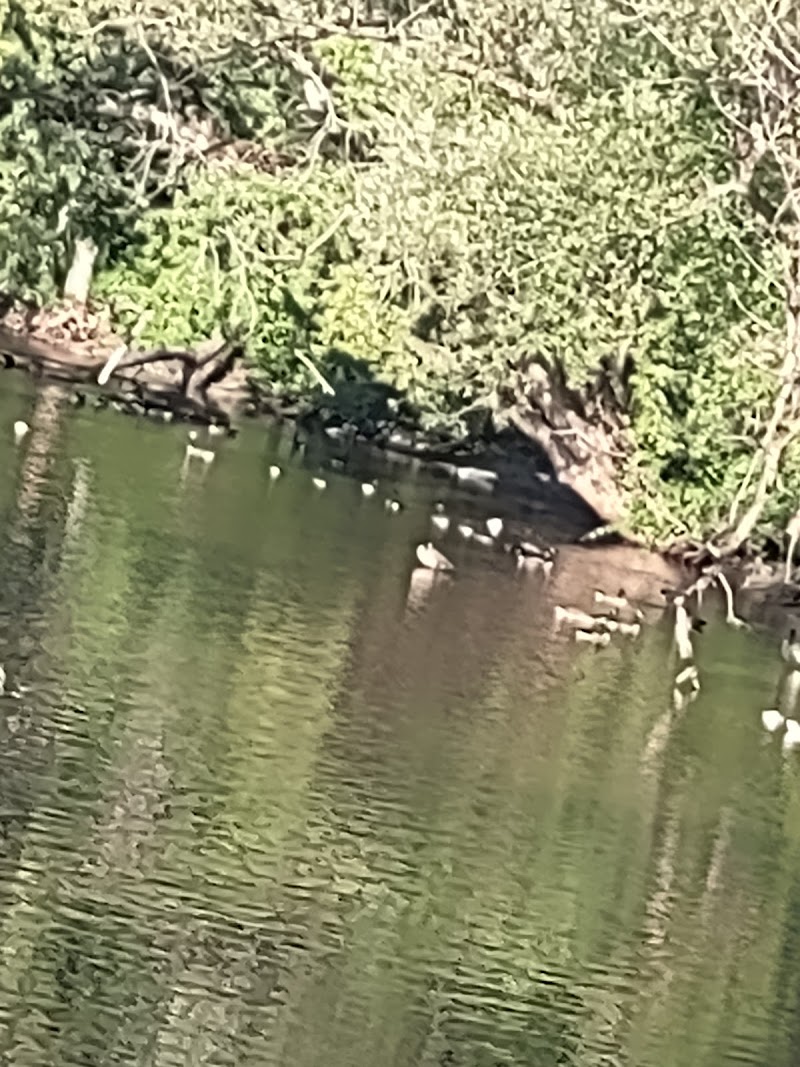 Rutland Recreation and Parks Department - Image 3