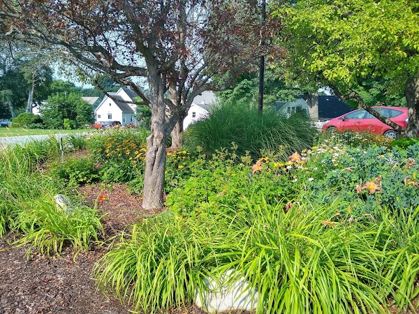 Godnick Adult Center - Image 2