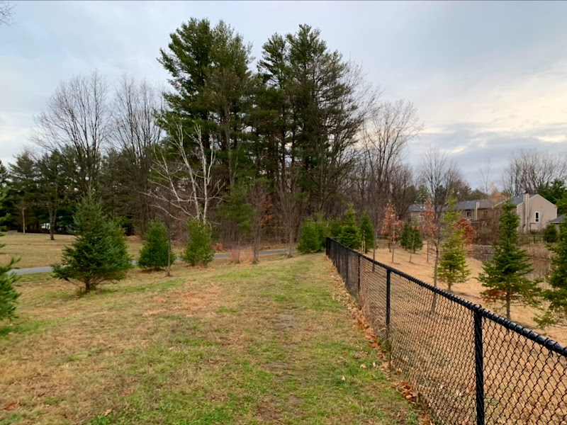 Szymanski Park - Image 3