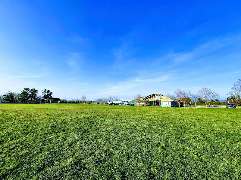 Veterans Memorial Park - Image 2