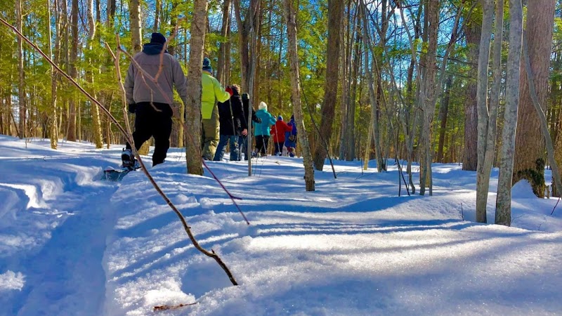 Swanton Recreation Commission - Image 3
