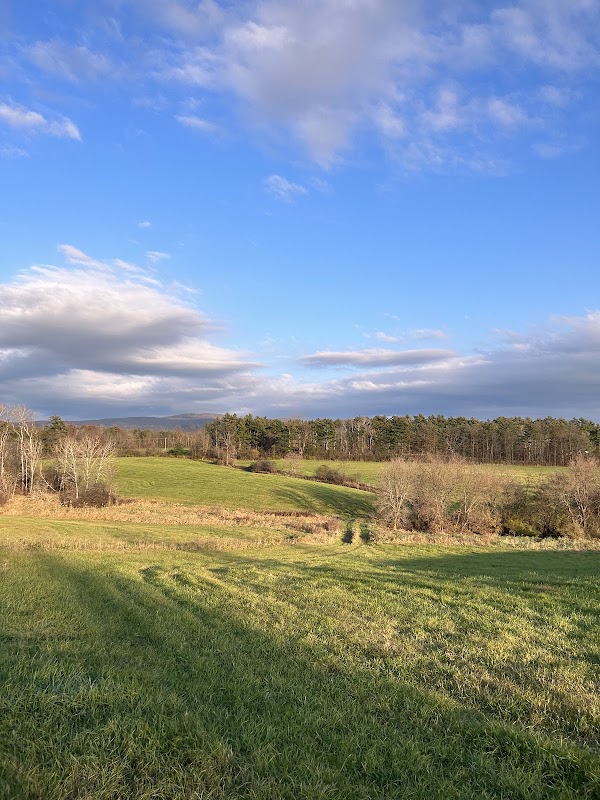 Battell Woods - Image 2