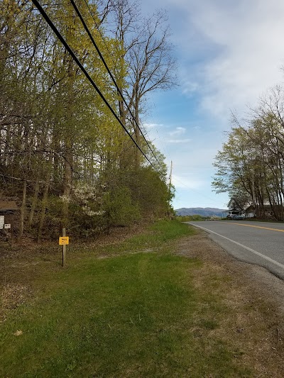 Battell Woods - Image 3