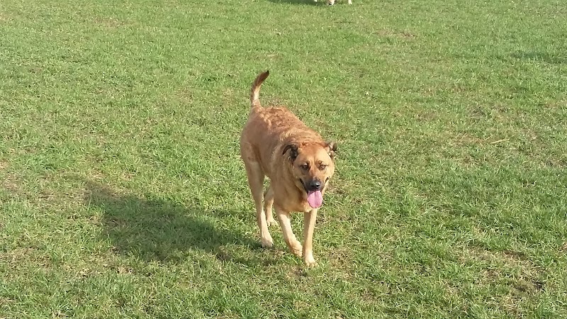West Rutland Recreation Department - Image 3