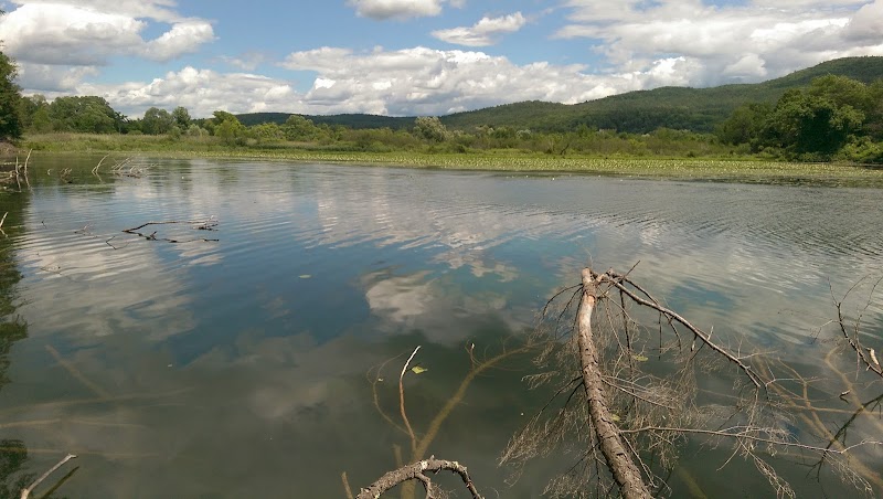 Windsor Recreation Department - Image 3