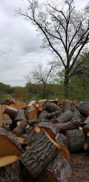 Army Navy Country Club Indoor Tennis Center - Image 3