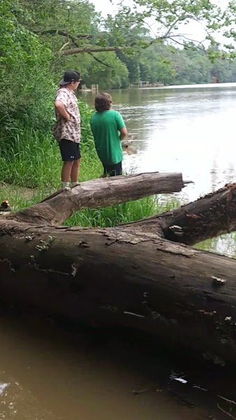 Cosner Park - Image 2