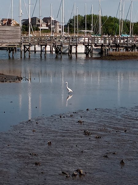 Southall Landing - Image 2