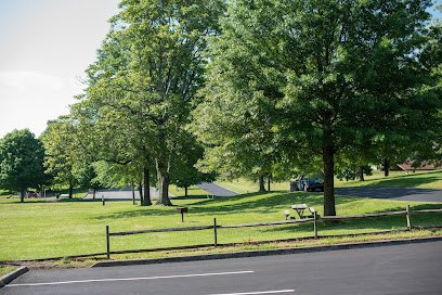 Fallon Park thumbnail