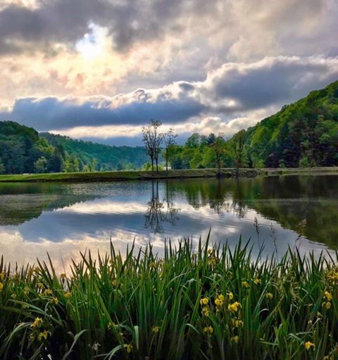 Fitzpatrick Park - Image 2