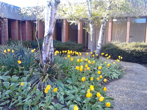 Senior Life Services of Morgan County thumbnail