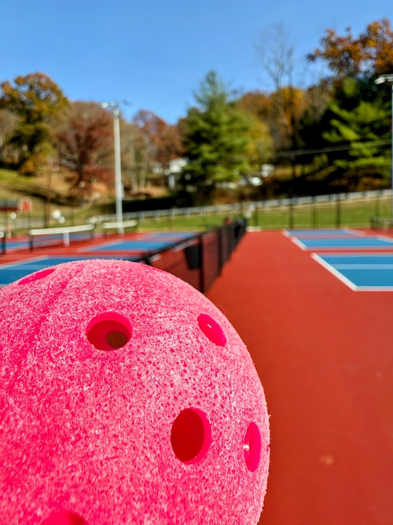 Bridgeport Pickleball Courts - Image 2