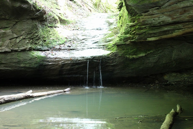 Coonskin Park - Image 2