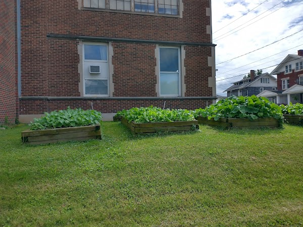 Roosevelt Neighborhood Center - Image 2