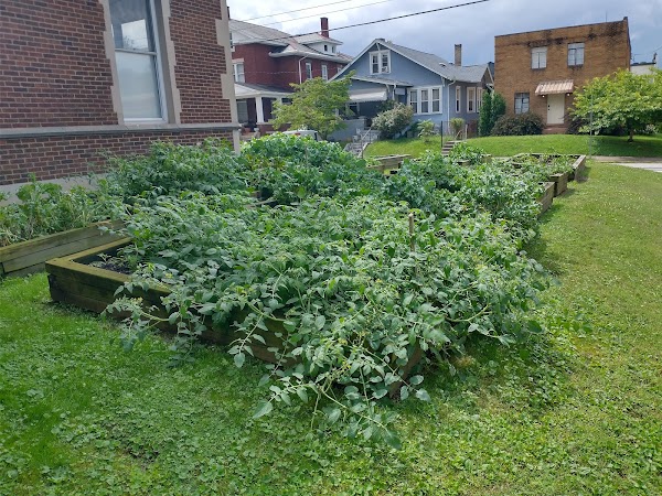 Roosevelt Neighborhood Center - Image 3