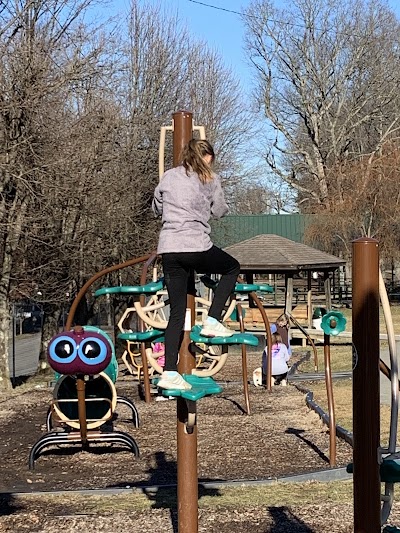 Fayetteville Town Park - Image 3