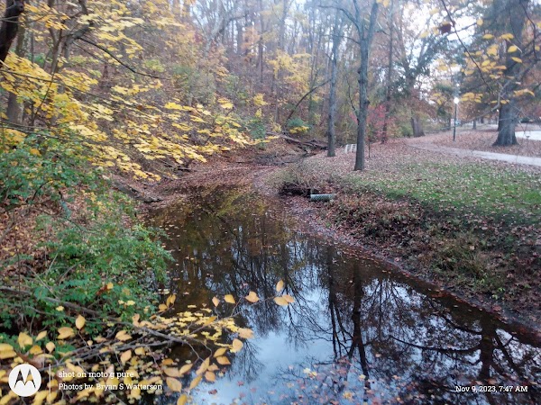 Ritter Park Activity Center thumbnail