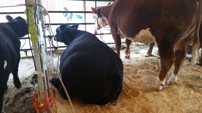 Craig Civic Center thumbnail