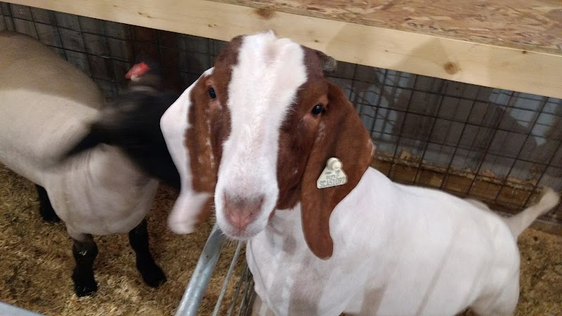 Craig Civic Center - Image 3