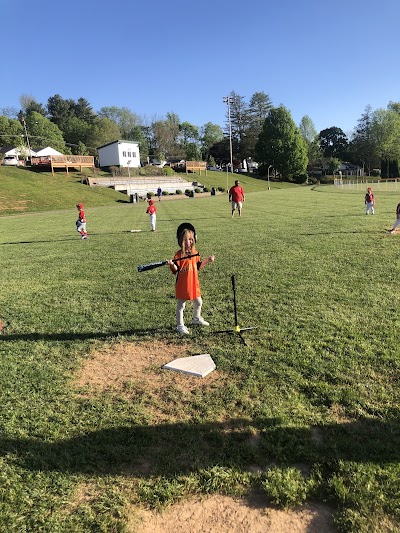 Hollowell Park - Image 3