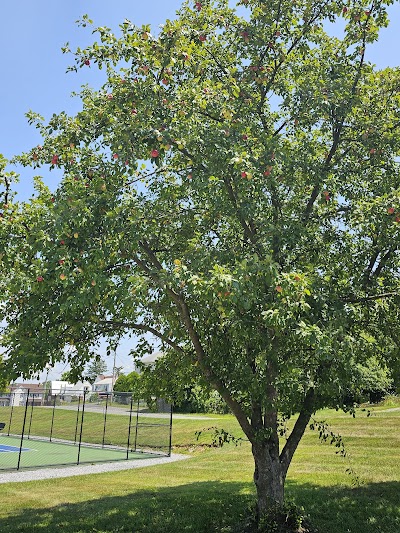 P.O. Faulkner Park - Image 3