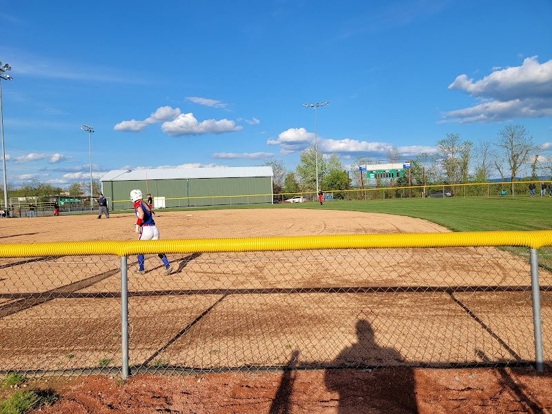 Anker Fields Complex at Mylan Park - Image 3