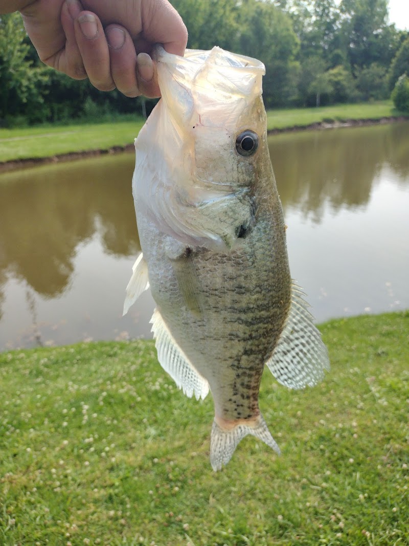 Elite Sports Center thumbnail