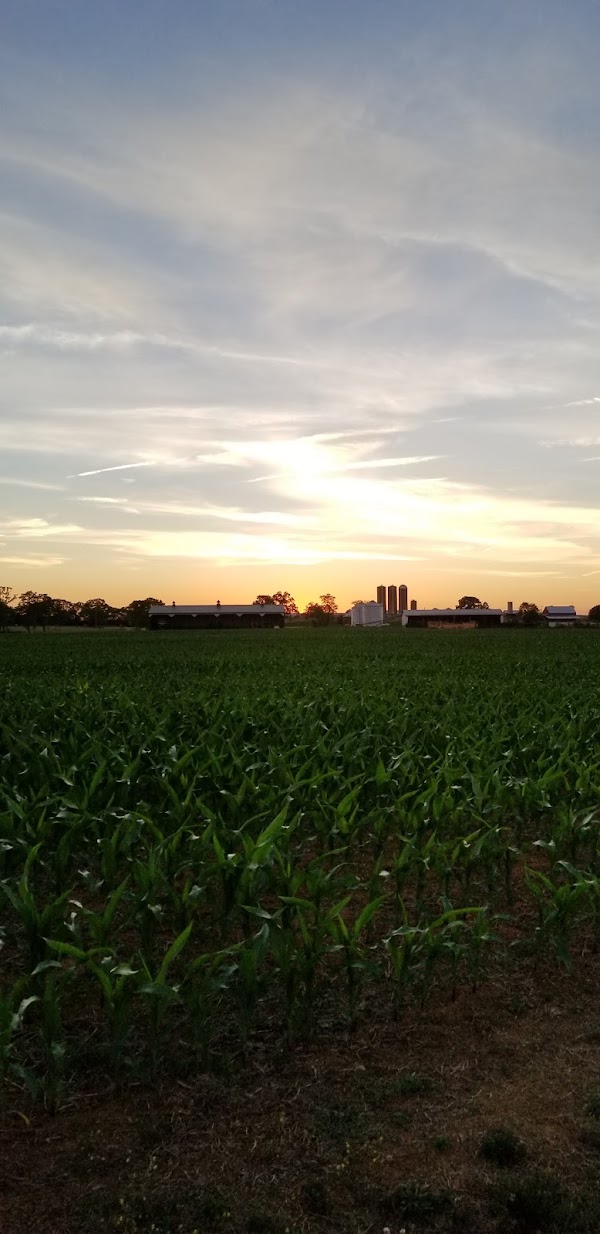 South Jefferson Park - Image 2