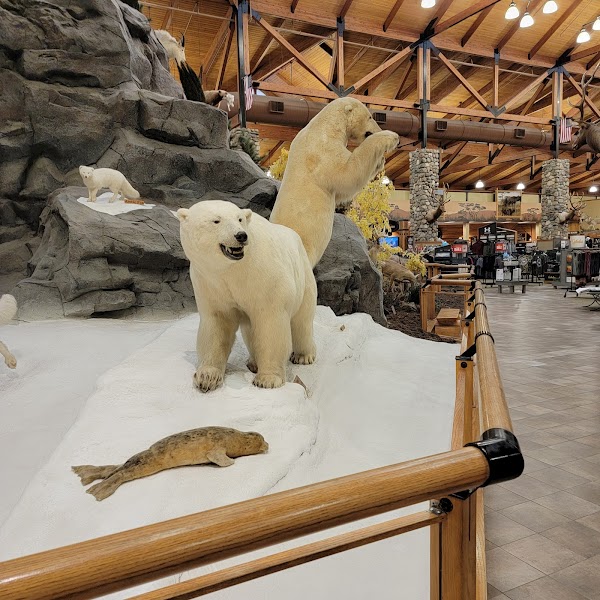Cabela's - Image 3