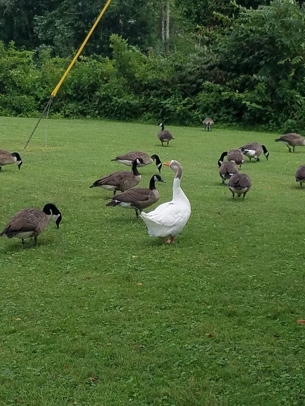 VA Park Trail, Clarksburg, West Virginia thumbnail