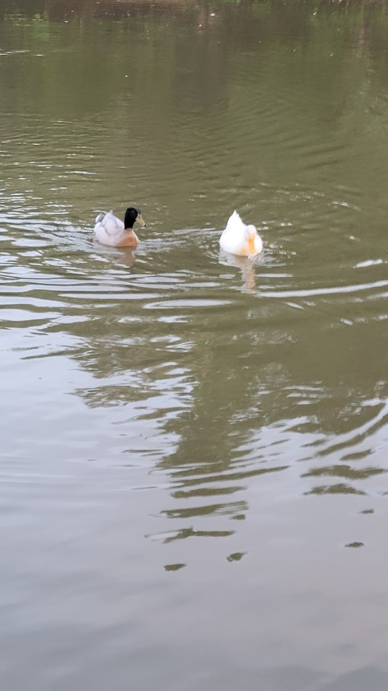 VA Park Trail, Clarksburg, West Virginia - Image 2