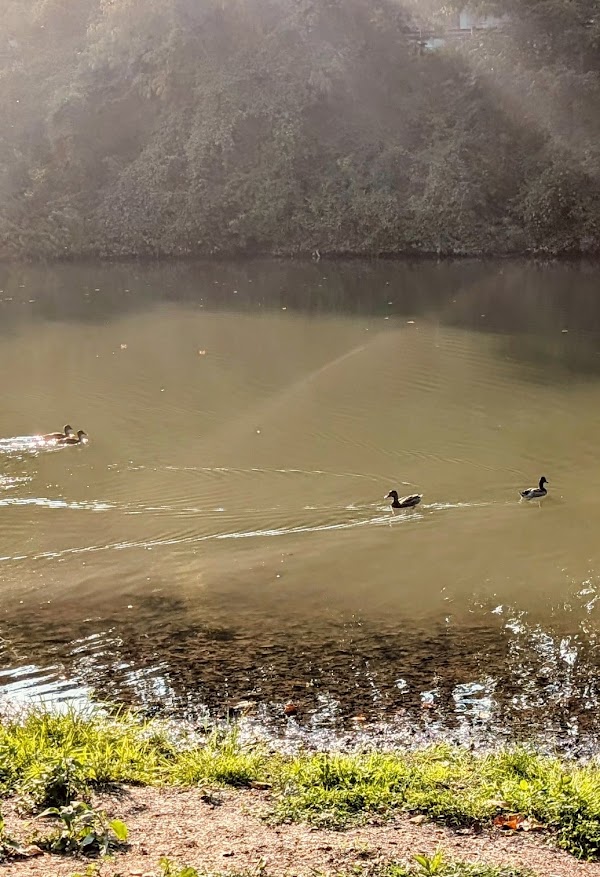 VA Park Trail, Clarksburg, West Virginia - Image 3