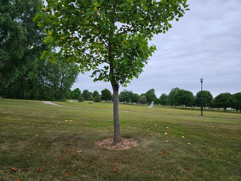 Highview Park thumbnail