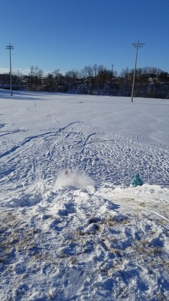 Morrissey Park thumbnail