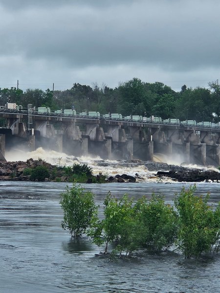 Buchanan Park thumbnail