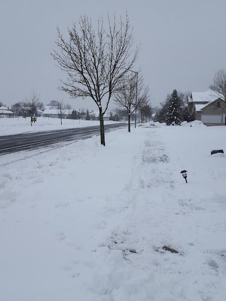 Richmond Hill Park - Image 2