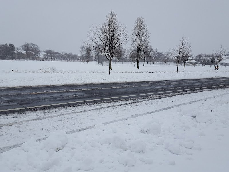 Richmond Hill Park - Image 3