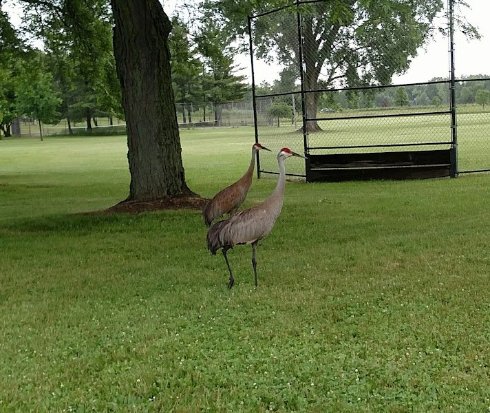 Northland Manor Park - Image 2